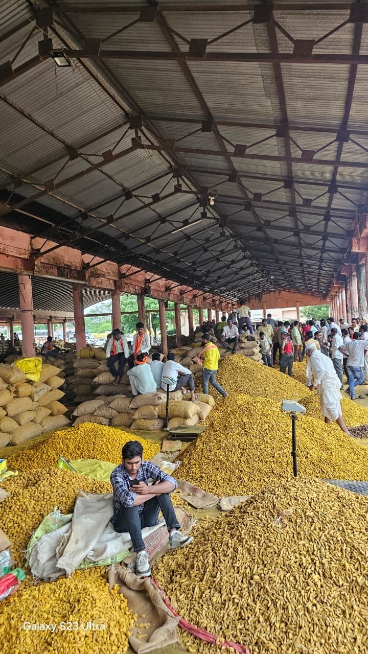 Turmeric mandi with large stock piles under a covered market