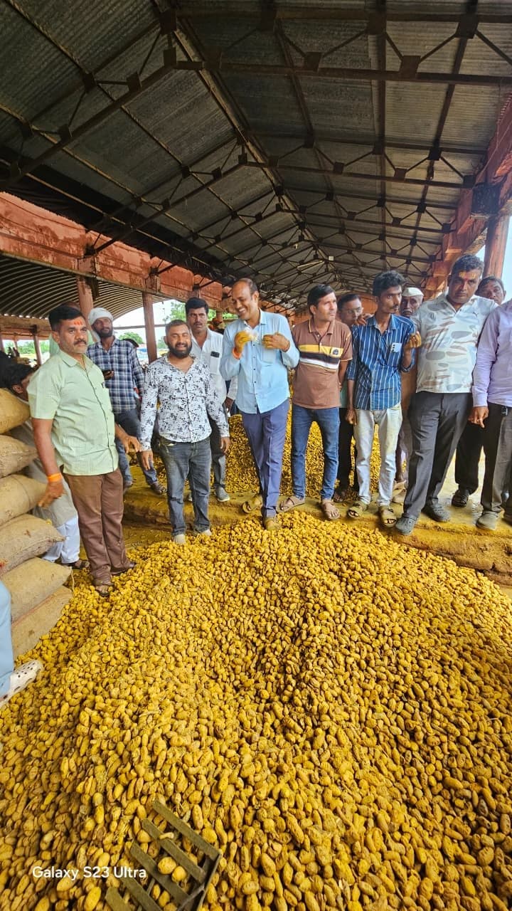 Team inspecting turmeric stock at the mandi