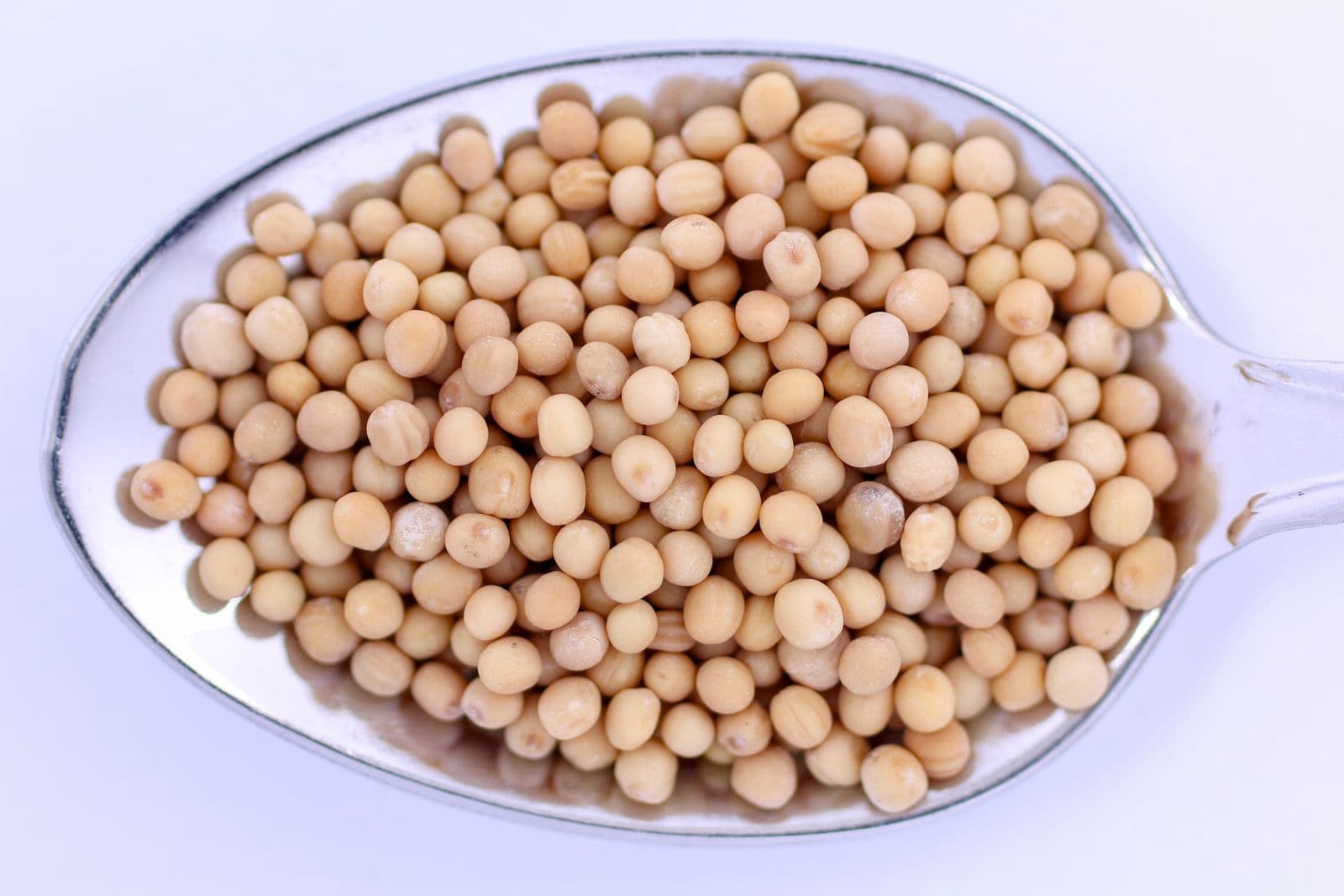 Mustard Seeds (Yellow / Brown)