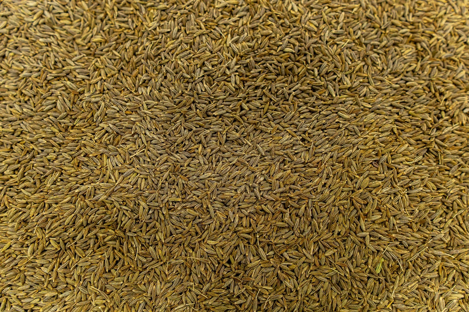 Cumin Seeds (Jeera)