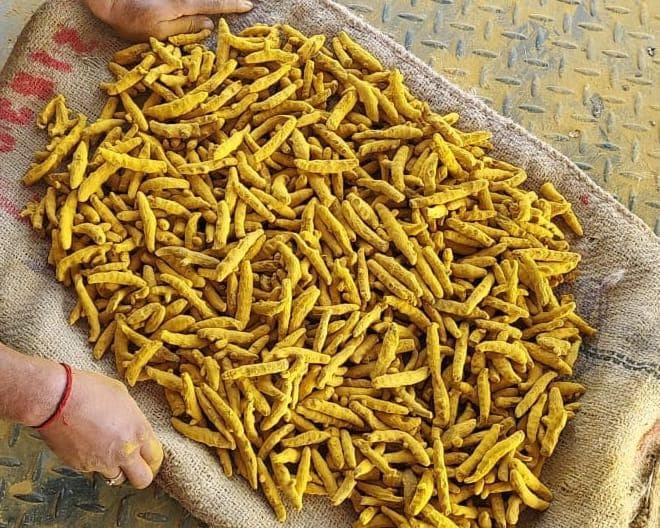 Double Polished Super Salem Turmeric Finger