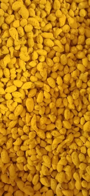 Turmeric Bulb