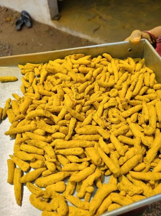 Turmeric Finger